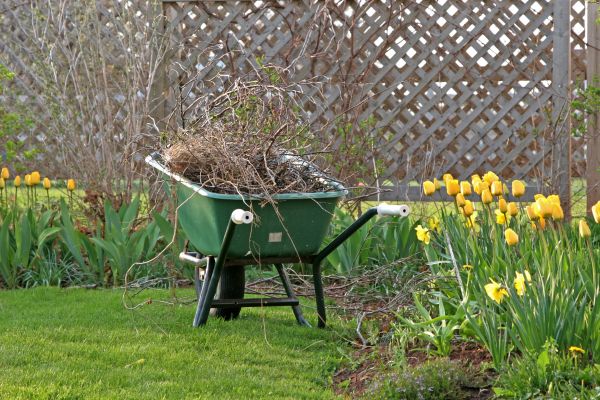 Flower Bed Cleanup Service in Ogden