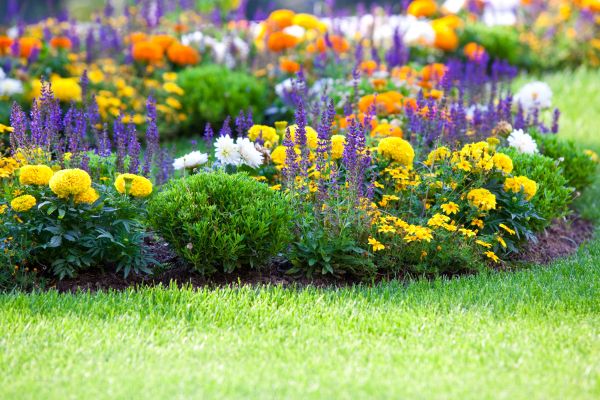 Flower Bed Maintenance in Ogden