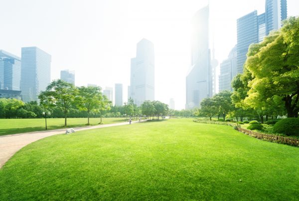 Commercial Landscape Maintenance in Ogden