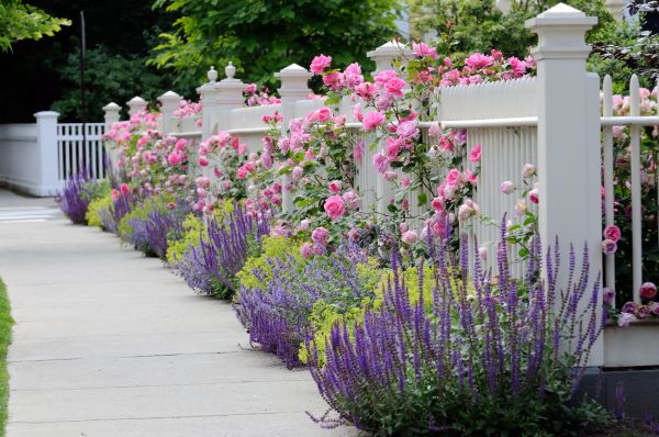 Garden Handyman Service in Ogden