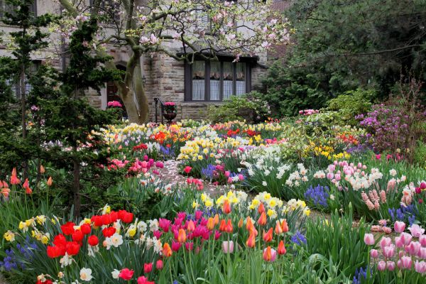 Garden Maintenance Service in Ogden