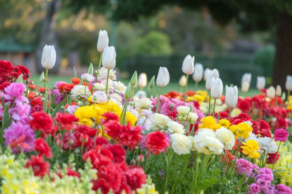 Gardening Service in Ogden