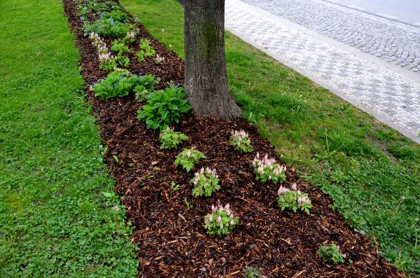 Mulch Replacement Service in Ogden
