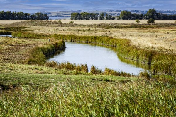 Swale Landscaping in Ogden
