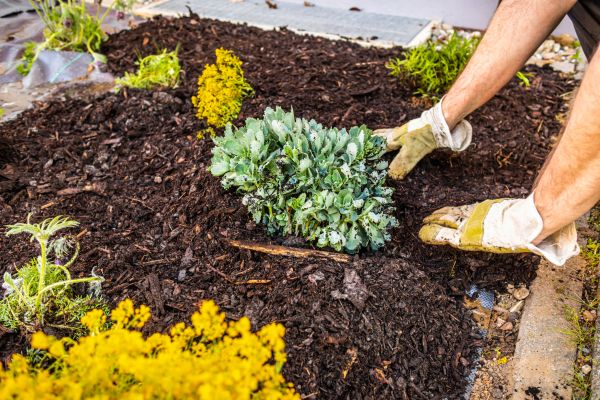 Weeding And Mulching in Ogden