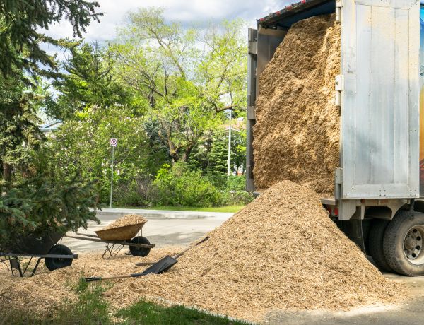 Wood Chips Delivery in Ogden