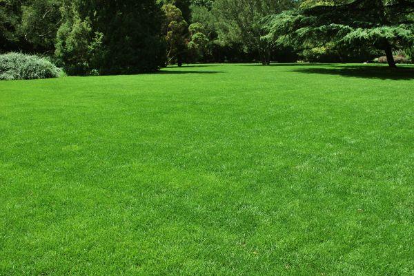 Lawn Landscaping in Ogden