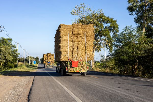 Pine Straw Delivery in Ogden