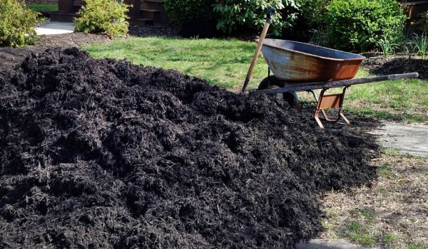 Black Mulch Delivery in Ogden