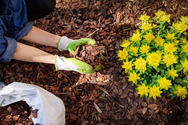 Garden Mulching in Ogden