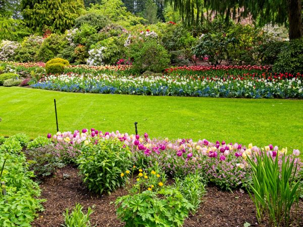 Residential Landscape Design in Ogden