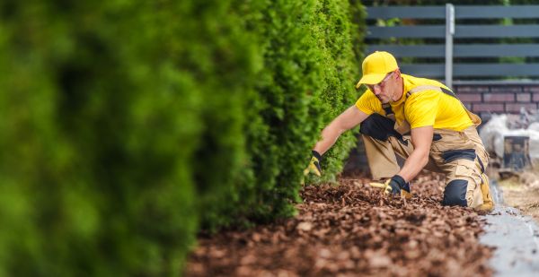 Cypress Mulch Installation in Ogden