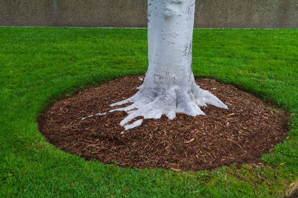 Brown Mulch Installation in Ogden