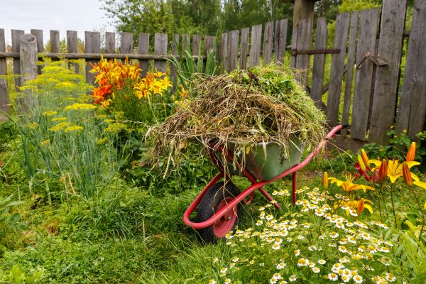 Garden Cleanup Service in Ogden