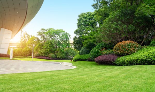 Business Landscape Design in Ogden