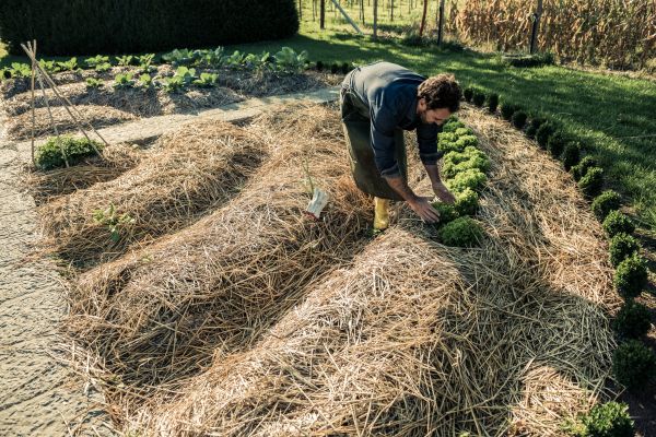 Straw Mulching Service in Ogden
