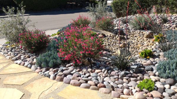 Xeriscape Landscaping in Ogden