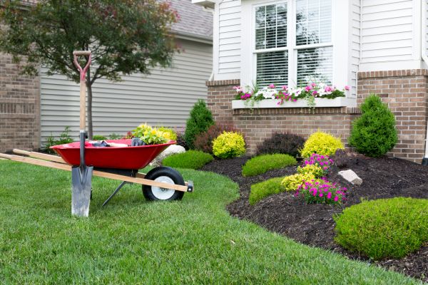 Tree And Shrub Planting in Ogden