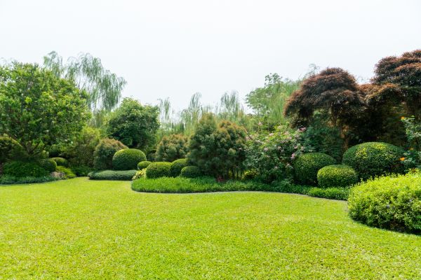 Tree Landscaping in Ogden