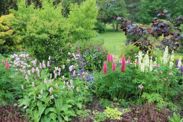 Flower Bed Planting in Ogden