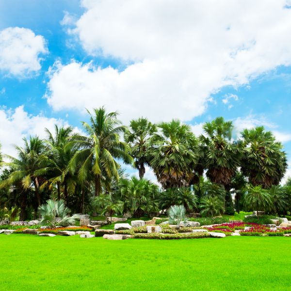 Tropical Landscaping in Ogden