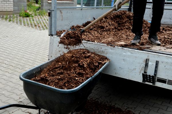 Cypress Mulch Delivery in Ogden