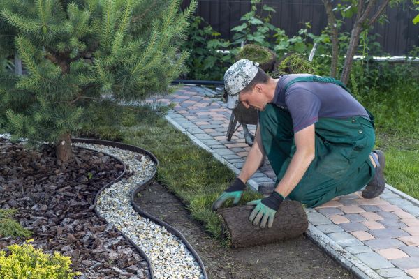 Landscaping Modification in Ogden