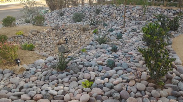 Yard Xeriscaping in Ogden