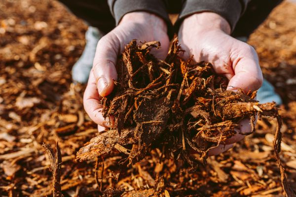 Bark Chips Delivery in Ogden
