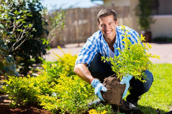 Shrub Landscaping in Ogden