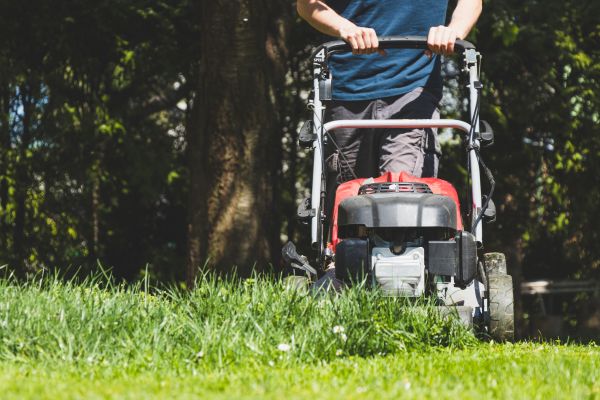 Garden Trimming Service in Ogden