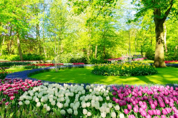 Flower Landscaping in Ogden