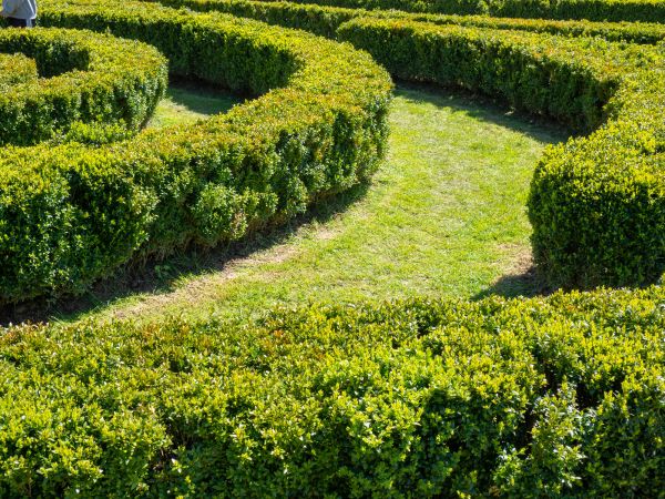 Bush Landscaping in Ogden
