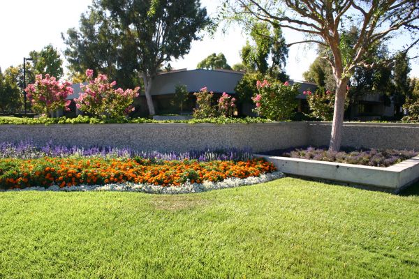 Commercial Landscape Service in Ogden