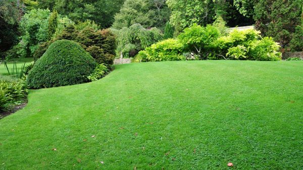 Commercial Landscape Design in Ogden