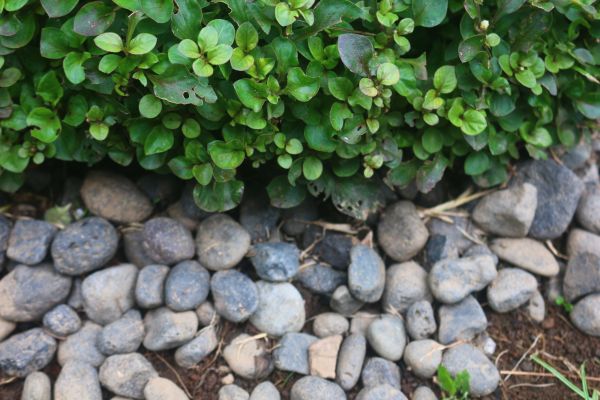River Stone Installation in Ogden