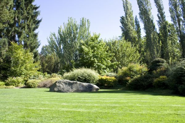 Yard Enlargement in Ogden