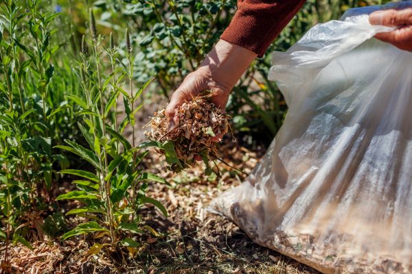 Wood Mulch Installation in Ogden