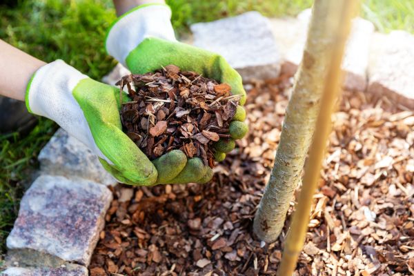 Tree Bark Delivery in Ogden