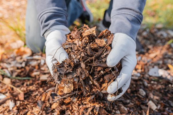 Shredded Mulch Installation in Ogden