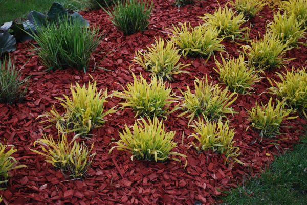 Red Mulch Installation in Ogden
