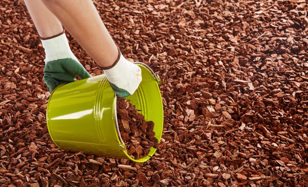 Wood Chip Landscaping in Ogden