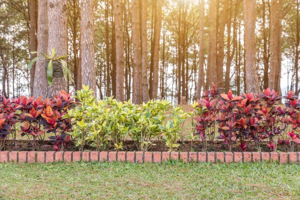 Small Garden Landscaping in Ogden