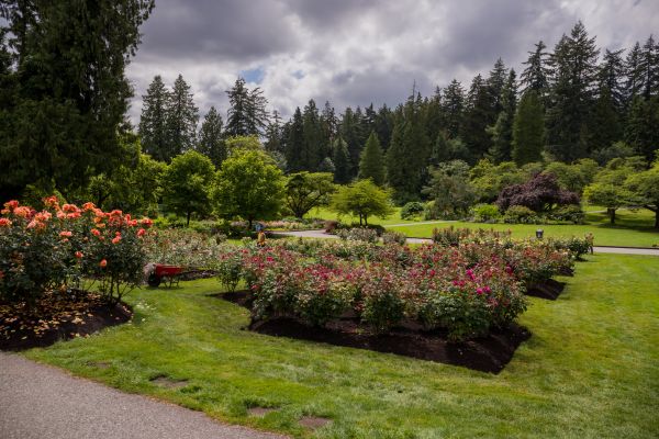 Flower Garden Landscaping in Ogden