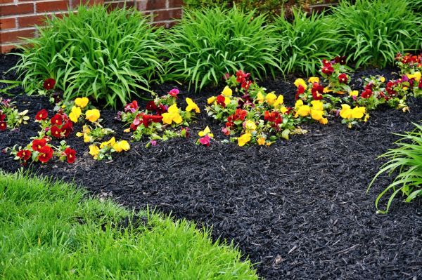 Apartment Mulching in Ogden